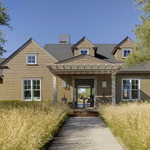 Melilotus suavcolen seeds