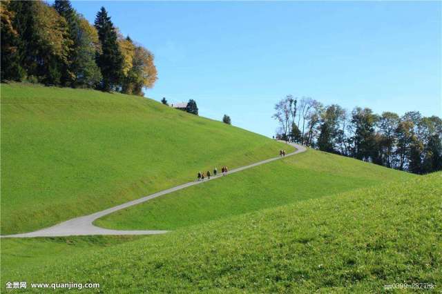 Mix lawn grass seeds