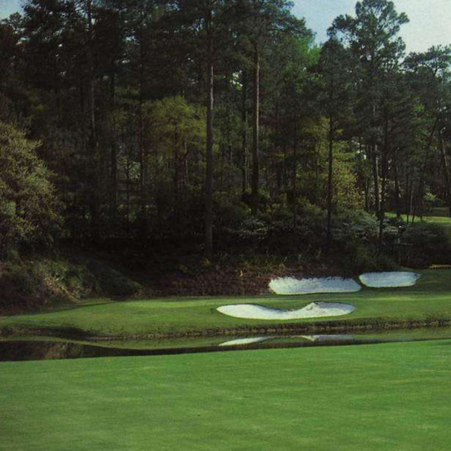 Agrostis stolonifera seeds