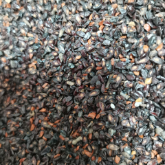 Eucalyptus citriodora seeds/Lemon Eucalyptus seeds 1kg