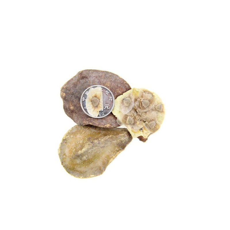 Jacaranda mimosifolia seeds/blue Jacaranda seeds 1kg