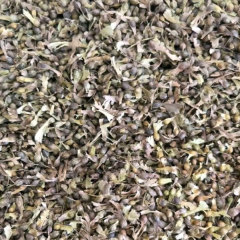 Acer palmatum seeds/Japanese maple seeds 1kg