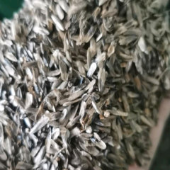 Chinese sweet gum seeds/Liquidambar formosana seeds 1kg