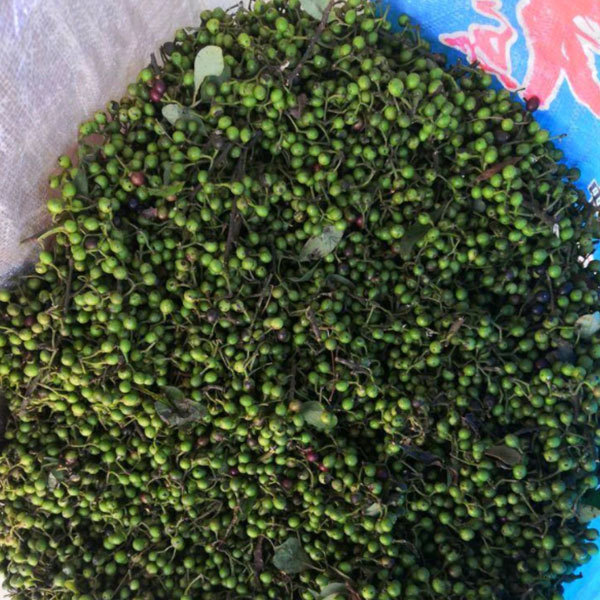 Litsea cubeba seeds 1kg