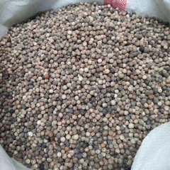 Deyeuxia langsdorffii seeds/Calamanrostis lanysdorffii seeds 1kg