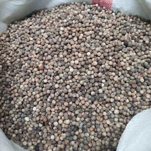 Deyeuxia langsdorffii seeds/Calamanrostis lanysdorffii seeds 1kg