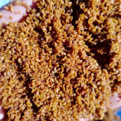 aralia elata seem seeds 1kg