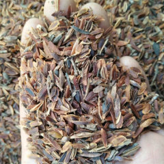 Lilac seeds/Syringa oblata seeds 1kg