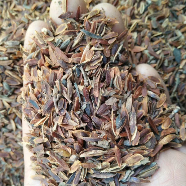 Lilac seeds/Syringa oblata seeds 1kg