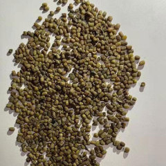 Magnolia multiflora/multiflora seeds 1kg