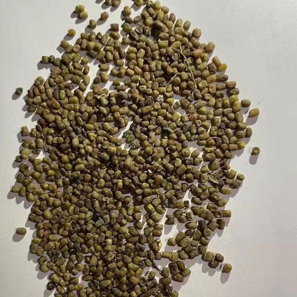 Magnolia multiflora/multiflora seeds 1kg