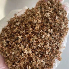 White Birch/Betula platyphylla seeds 1kg