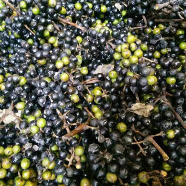 Magnolia officinalis seeds 1kg