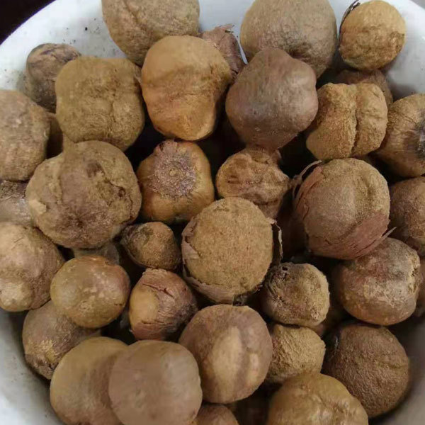 Tectona grandis/Teak/Teakwood seeds 1kg