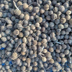 Tilia seeds/Linden seeds/Basswood seeds 1kg