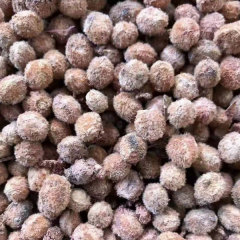 Myrica rubra seeds 1kg
