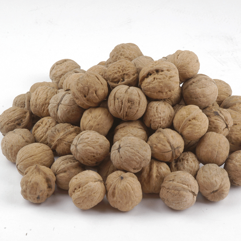 walnut seeds 1kg