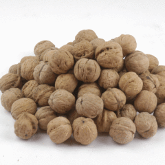walnut seeds 1kg