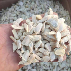 Grapefruit seeds 1kg