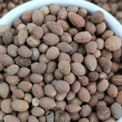 Chinese date seeds 1kg