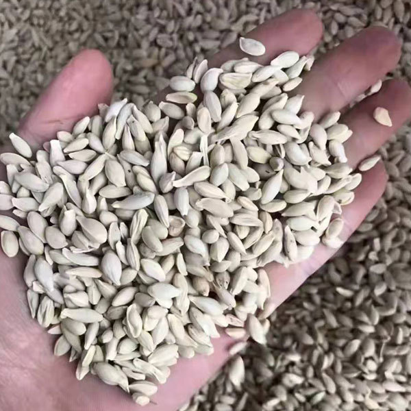 Lemon seeds 1kg