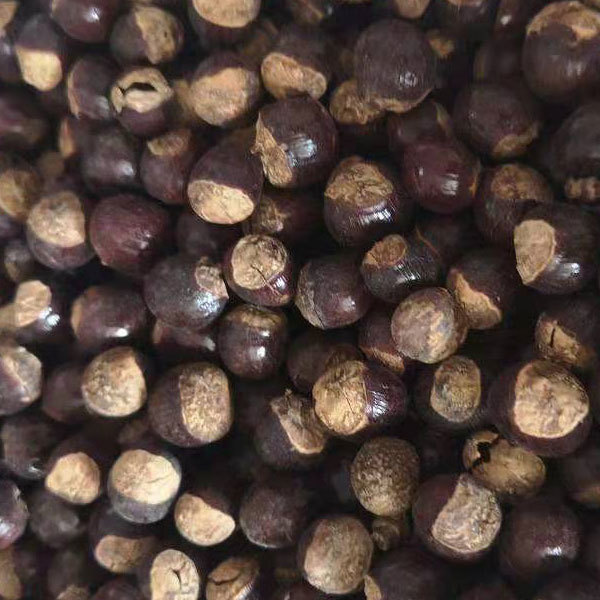 longan seeds