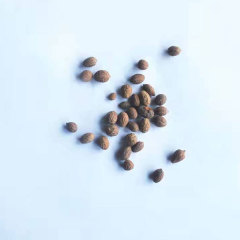 Chinese date seeds 1kg