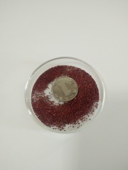 strawberry seeds 1kg