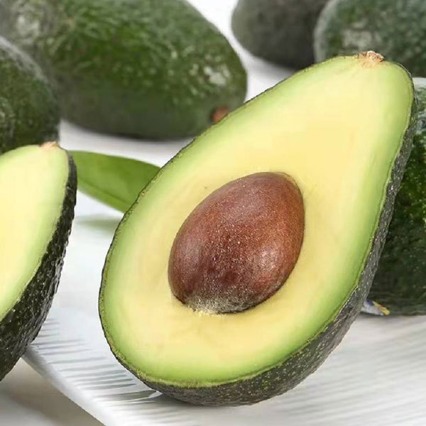 Avocado seeds 1kg