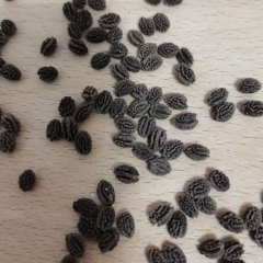 Red lady papaya seeds 1kg