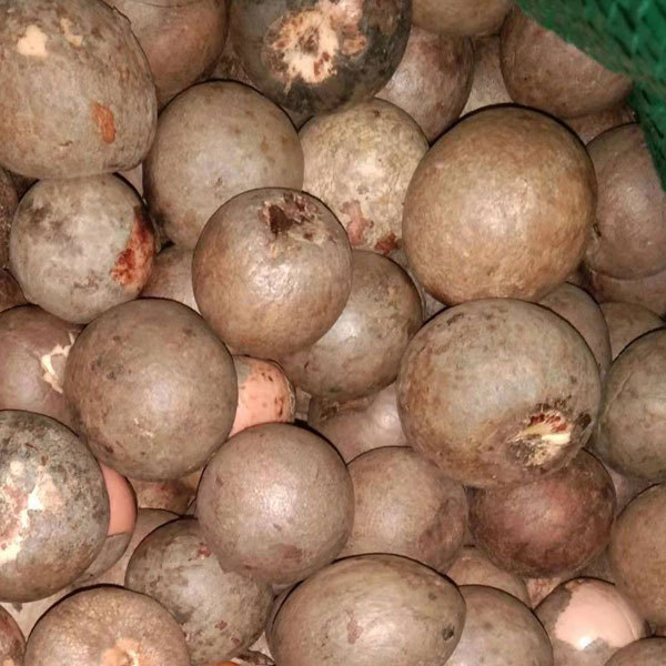 Avocado seeds 1kg
