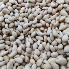 Fructus aurantii seeds 1kg