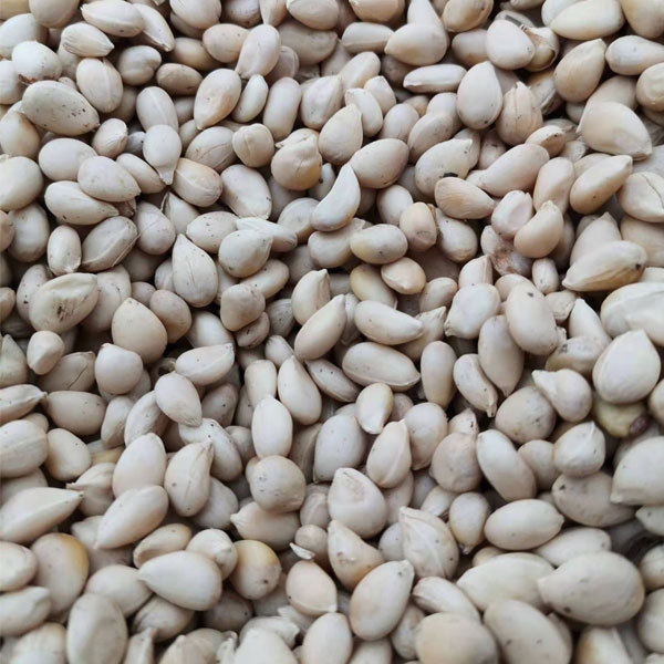 Fructus aurantii seeds 1kg