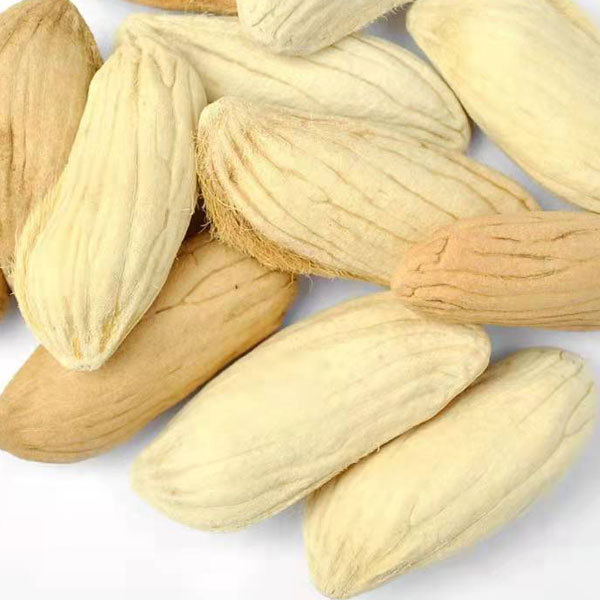 Mango seeds1kg