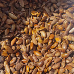 Persimmon seeds 1kg