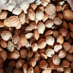 Plum seeds 1kg