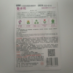 Lupine seeds 15 seeds/bags