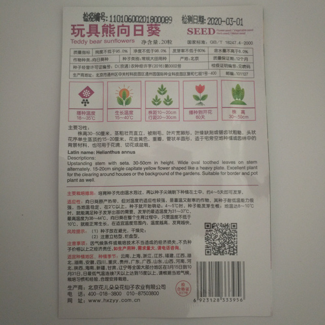 Teddy bear Sunflower seeds 20 seeds/bags