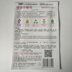 Dahlia pinnata seeds 50 seeds/bags