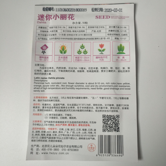 Dahlia pinnata seeds 50 seeds/bags