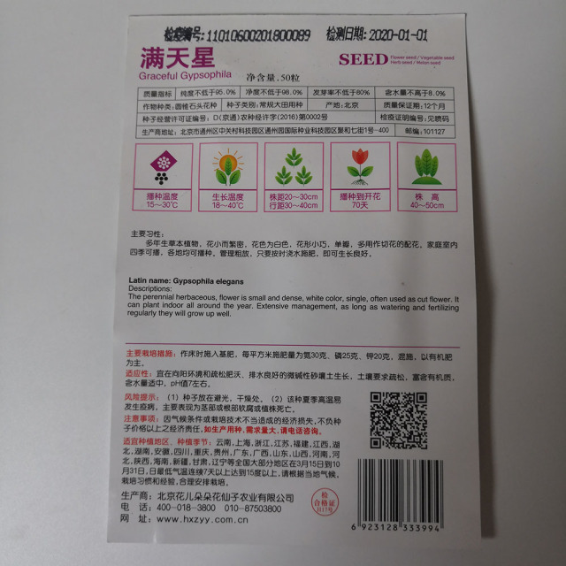 gypsophila paniculata seeds 50 seeds/bags