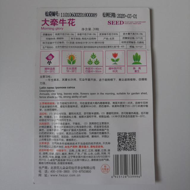 Morning Glory seeds 20 seeds/bags