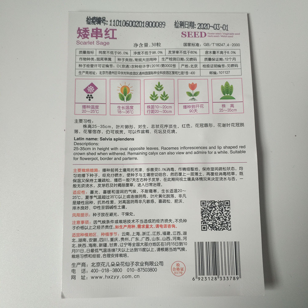 scarlet sage seeds 30 seeds/bags