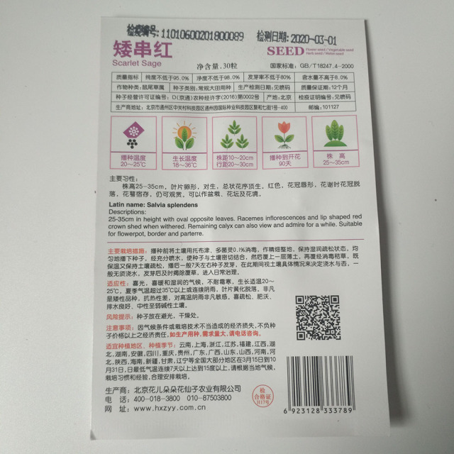 scarlet sage seeds 30 seeds/bags