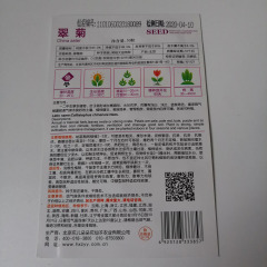 China aster seeds 50 seeds/bags