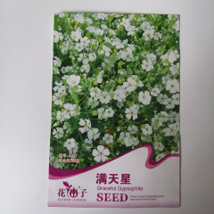 gypsophila paniculata seeds 50 seeds/bags