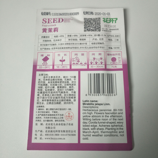 yellow four o clock seed seeds 20 seeds/bags