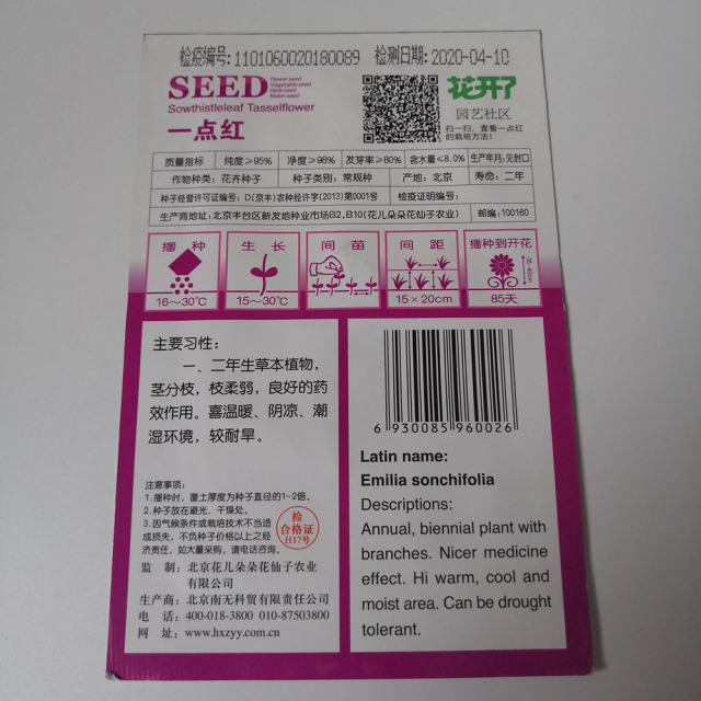 Sowthistle Tasselflower seeds 50 seeds/bags