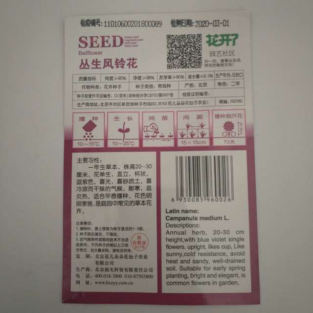 bellflower seeds 30 seeds/bags