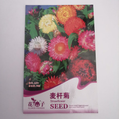 Strawflower seeds 50 seeds/bags